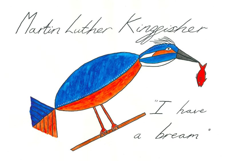 Martin Luther Kingfisher